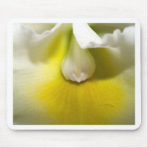 Orchid Flower mousepads