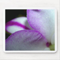 Orchid Flower mousepads