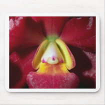 Orchid Flower mousepads