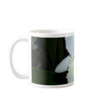 Orchid Flower mugs