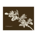 Orchid flower photo custom thank you note card postcard