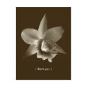 Orchid flower photo custom thank you note card postcard