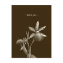 Orchid flower photo custom thank you note card postcard