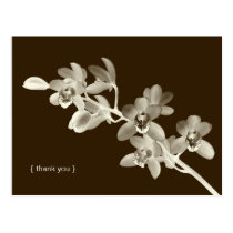 Orchid flower photo custom thank you note card postcards