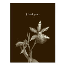 Orchid flower photo custom thank you note card postcards