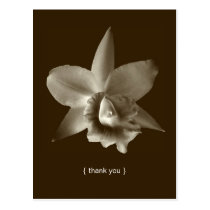 Orchid flower photo custom thank you note card postcards