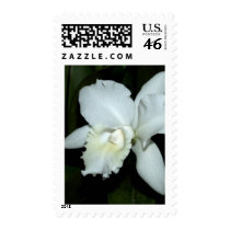 Orchid Flower postage by naturelife Orchid Flower postage