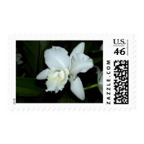 Orchid Flower postage by naturelife Orchid Flower postage