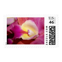 Orchid Flower postage by naturelife Orchid Flower postage