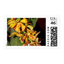 Orchid Flower postage by naturelife Orchid Flower postage