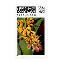 Orchid Flower postage by naturelife Orchid Flower postage