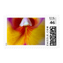 Orchid Flower postage by naturelife Orchid Flower postage
