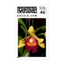 Orchid Flower postage by naturelife Orchid Flower postage
