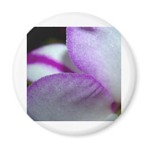 Orchid Flower magnets