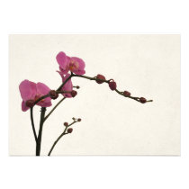 orchid flower romantic invitation invitations