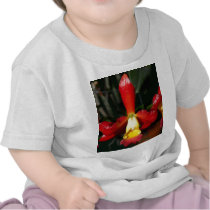 Orchid Flower t-shirts by naturelife Orchid Flower t-shirts