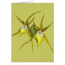 Orchid Flowers cards