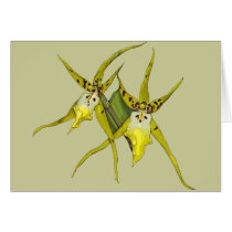 Orchid Flowers cards
