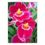 Orchid flowers - Card