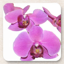 Orchid Flowers Cork Coaster