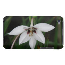 Orchid Flowers iTouch Case iPod Touch Covers