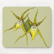 Orchid Flowers mousepads