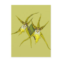 Orchid Flowers postcards