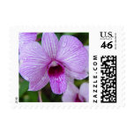 orchid-flowers stamp