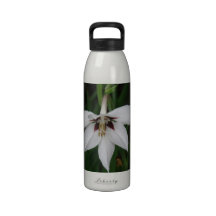 Orchid Flowers Water Bottle