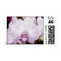 Orchid Four Postage Stamp
