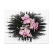 Orchid Frame 1 postcards