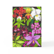 Orchid Garden Flowers Greeting Card