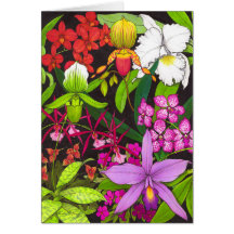 Orchid Garden Flowers Greeting Card