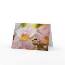 Orchid • Greeting Card