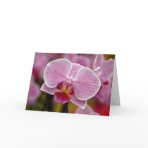 Orchid • Greeting Card