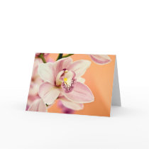 Orchid • Greeting Card