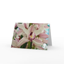 Orchid • Greeting Card
