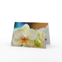 Orchid • Greeting Card