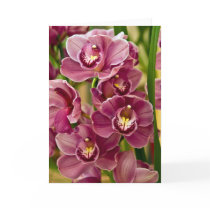 Orchid • Greeting Card