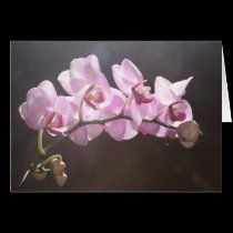 Orchid greeting card cards