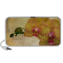 Orchid Grunge speakers