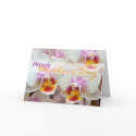 Orchid • Happy Mother's Day Card by SabineStGreetings Orchid • Happy Mother's Day Card