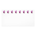 Orchid Harold Carls Picture Card