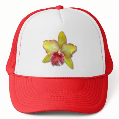 Orchid Hat by justabitoffun
