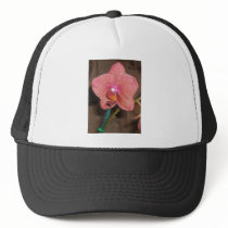 Orchid hats by amjon1 Orchid hats