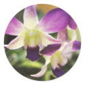 Orchid, Hawaiian stickers by eunicorn Orchid, Hawaiian stickers