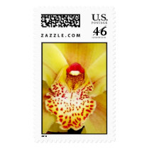 Orchid Inside postage