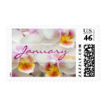 Orchid • January Wedding Stamp