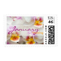 Orchid • January Wedding Stamp