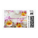 Orchid • January Wedding Stamp